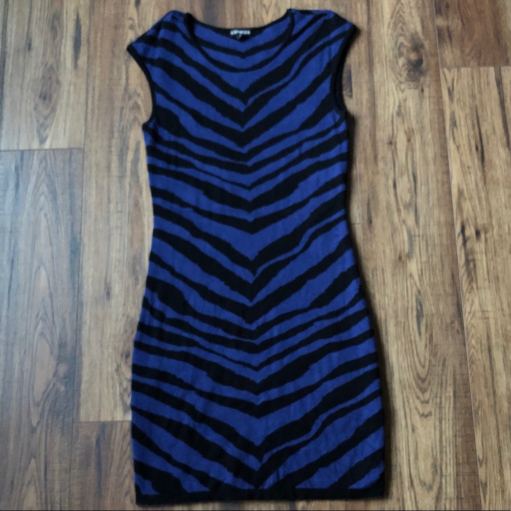 EUC Express Sweater Dress! Worn twice! Size Small